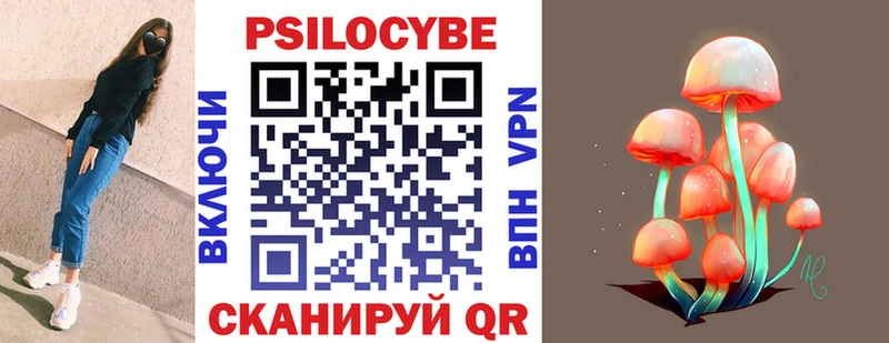 Псилоцибиновые грибы Psilocybe  Бавлы 